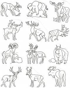 Antlers and Horns Block - ACAHB - Collection of 12