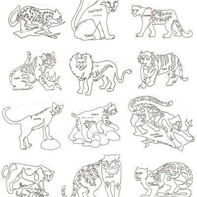 Big Cats 8
