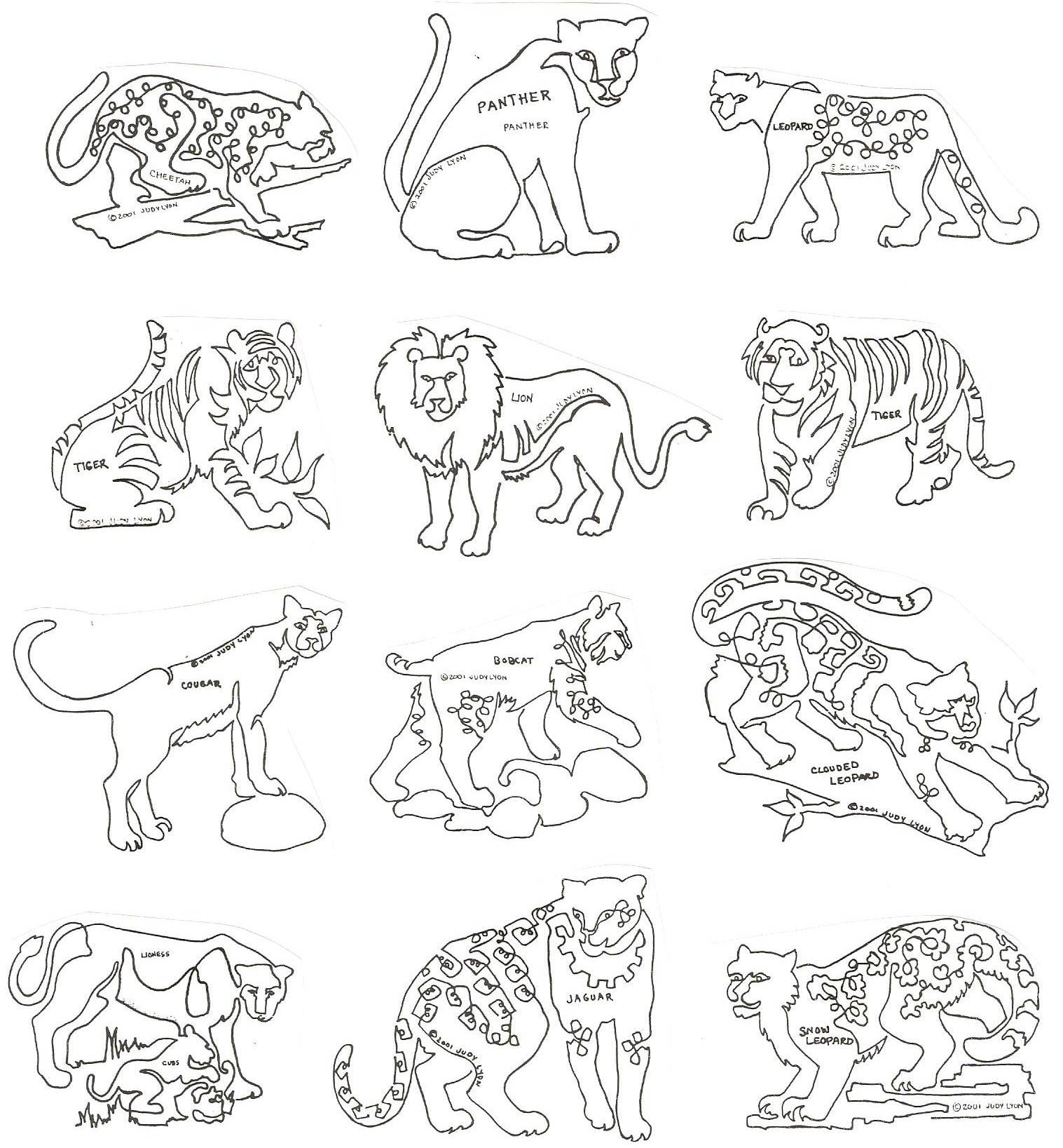 Big Cats 8