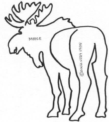 Antlers and Horns 8