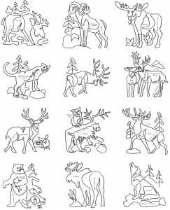 Backwoods Block - BWB - Collection of 12