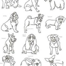 Doggies Set #1  - 8