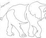 Elephants Border