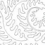 Fiddle Ferns