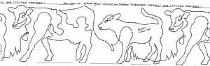 Moo Cow - Border