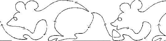 4 Little Patterns: seashells, leaves, pumpkins and mice 2 1/2