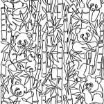 Panda Bamboo - Layout Example