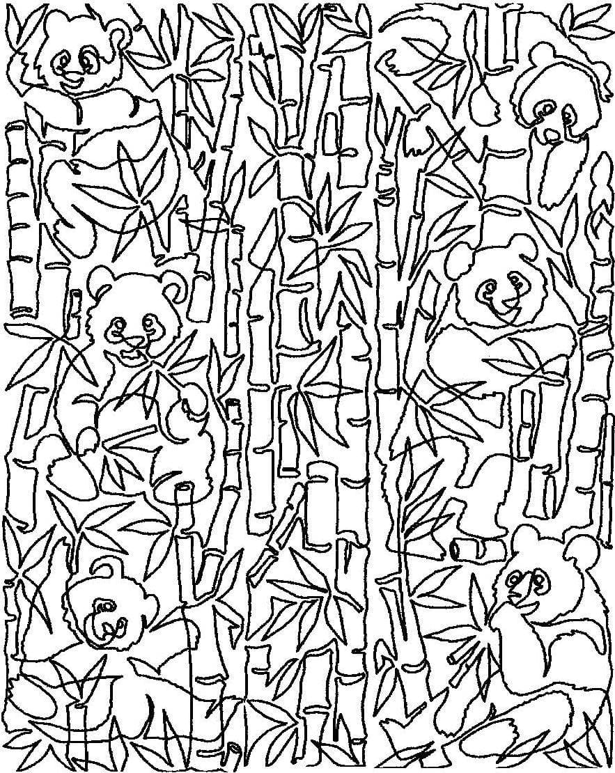 Panda Bamboo 11