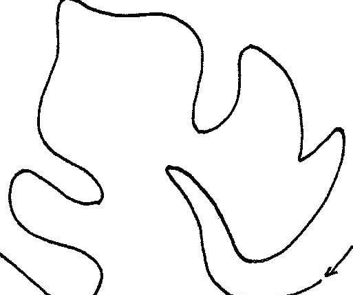 4 Little Patterns: seashells, leaves, pumpkins and mice 2 1/2