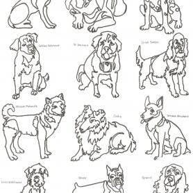Doggies Set #2  -  8