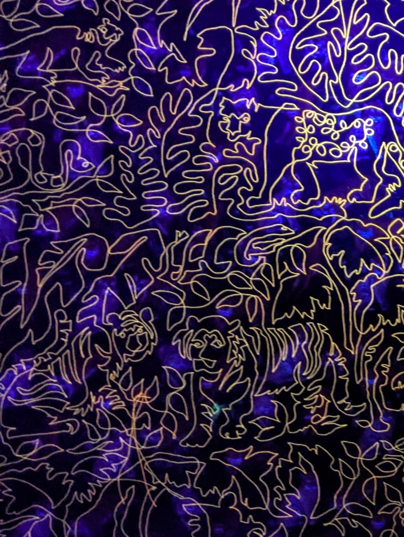 Jungle 11