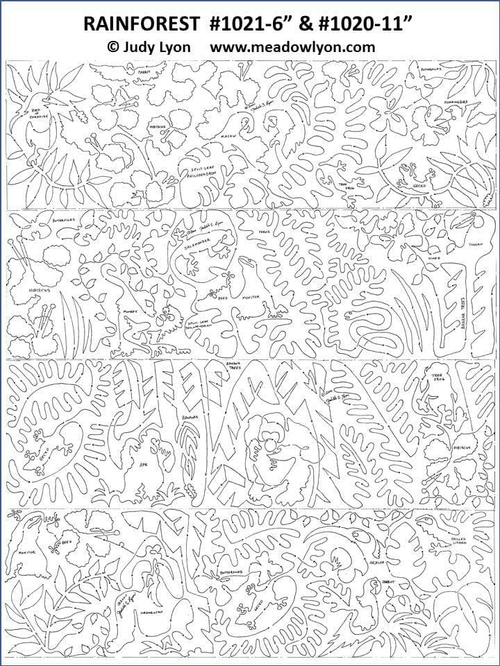Rainforest 11