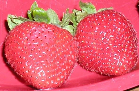 Strawberry Set #37 - Image 8