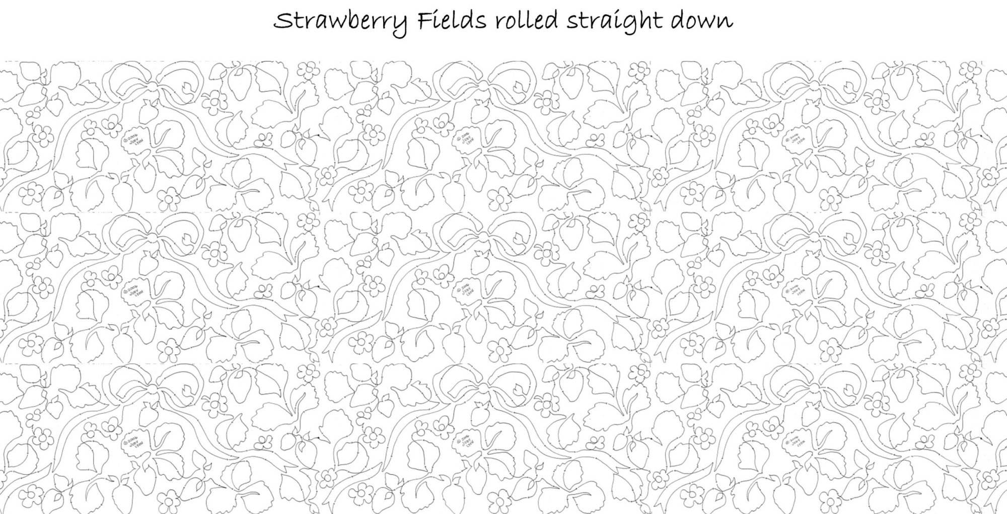 Strawberry Fields 11