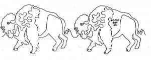 Great Plains - Bison