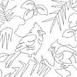 snowbirds snippet