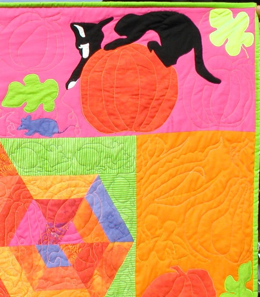 Pumpkin Patch w/ sashings 8