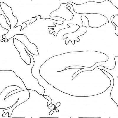 FROG POND 9