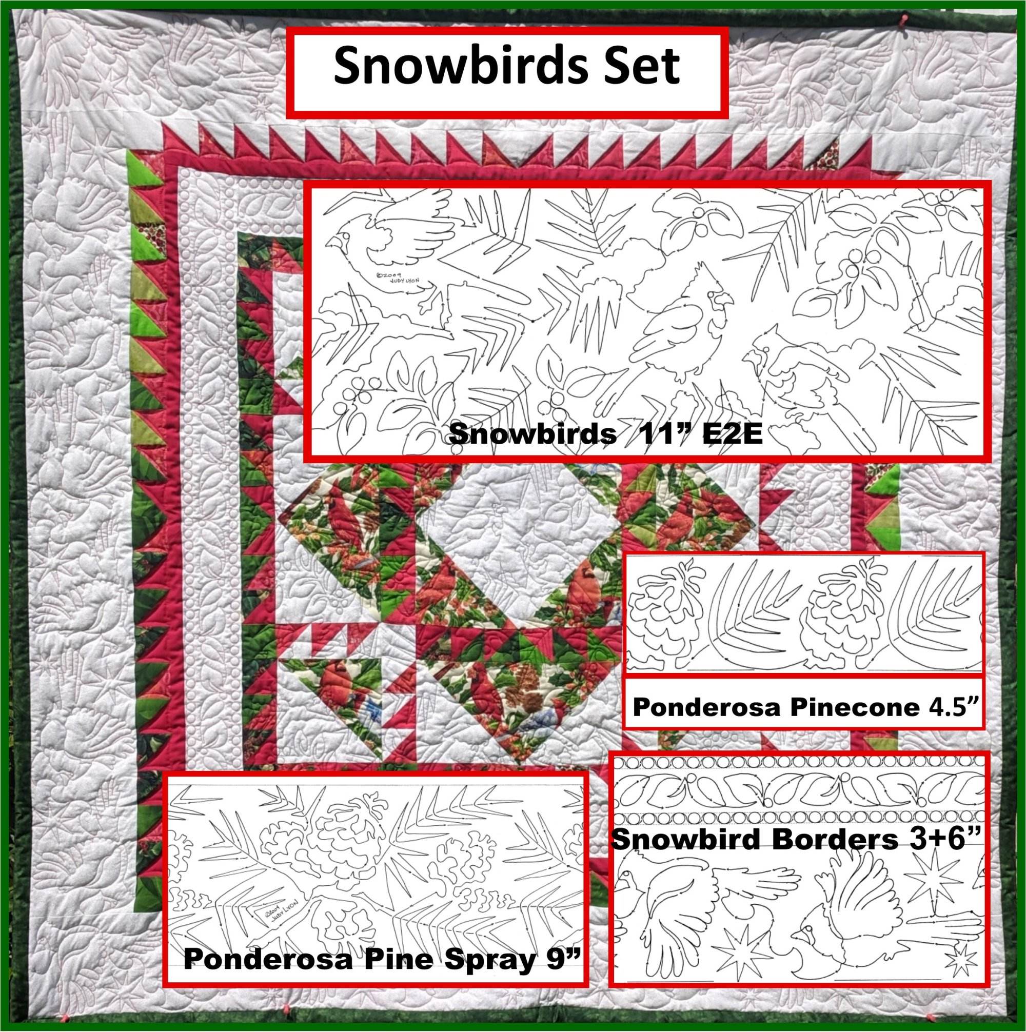 Snowbirds Set #37