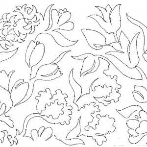 Spring Bulbs 15
