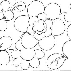 Japonica Blooms 10