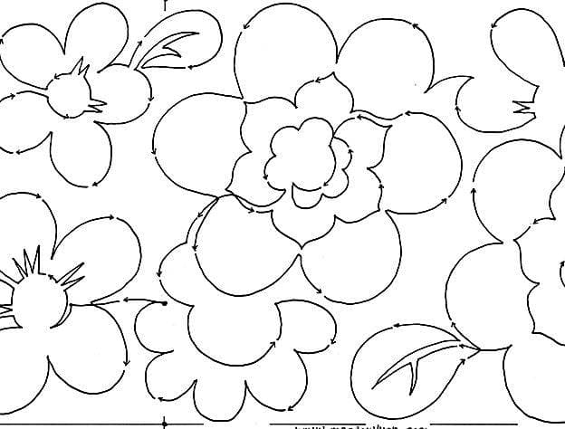 Japonica Blooms 10