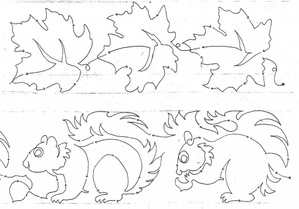 Maple Squirrels