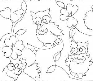Owlets snippet