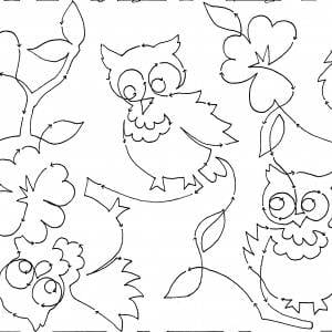 Owlets  10