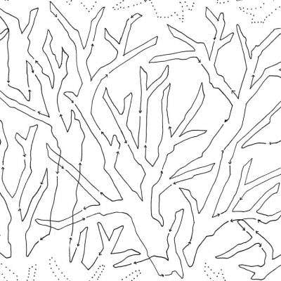 Tree Bones Big 14