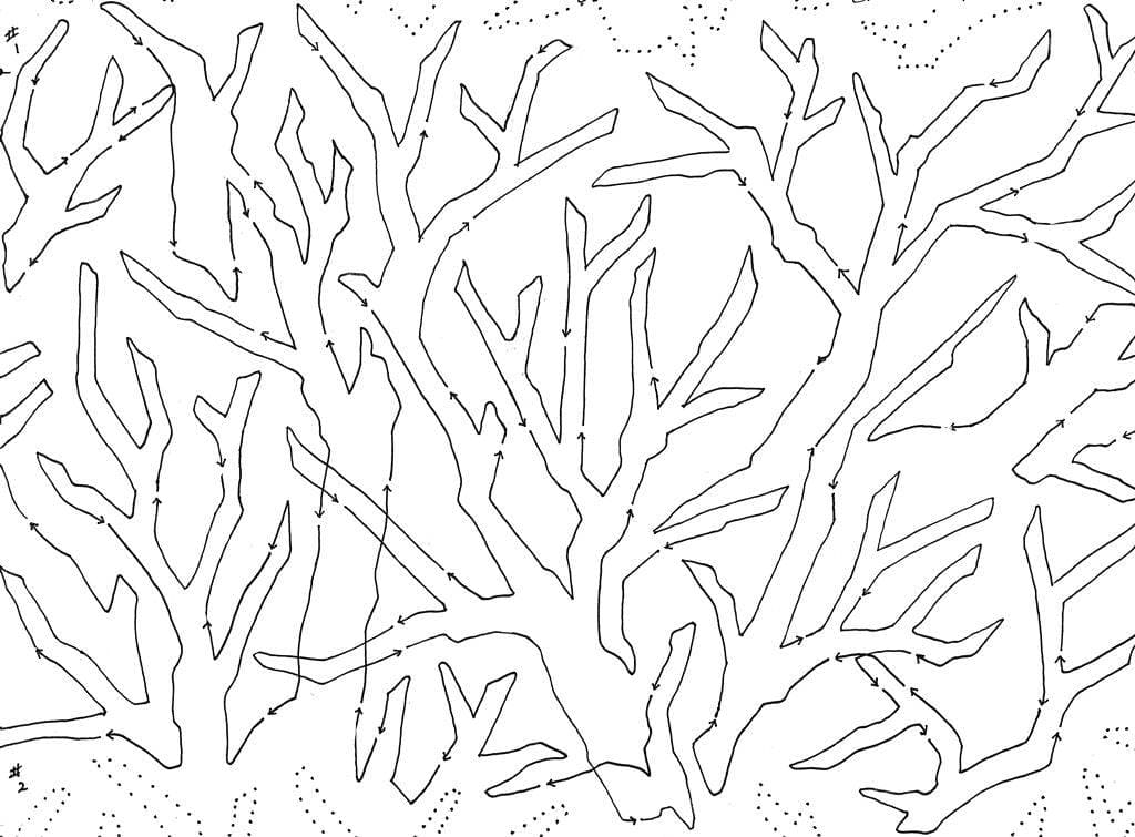 Tree Bones Big 14