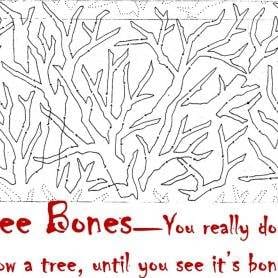 Tree Bones 11