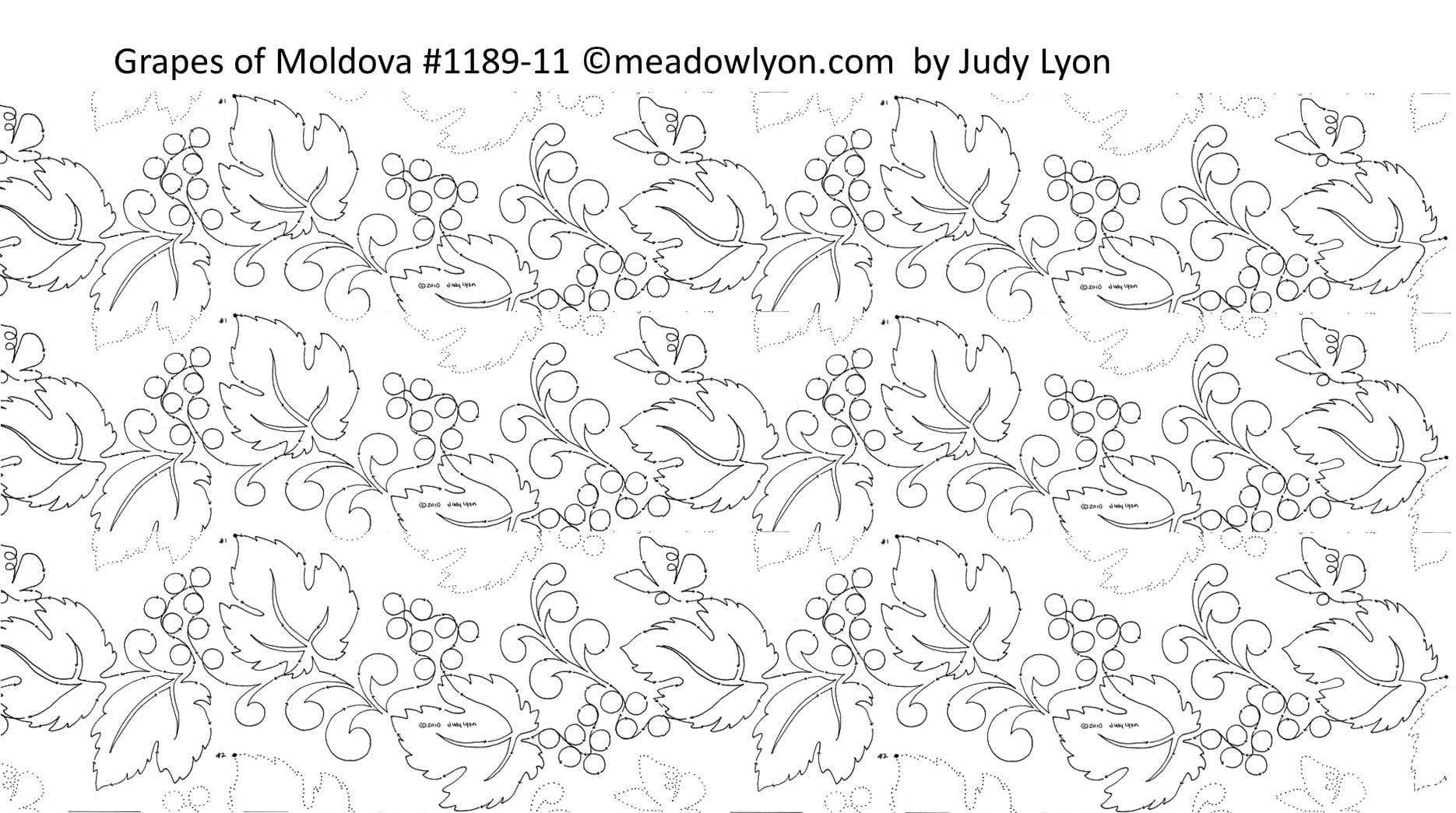 Grapes of Moldova  11
