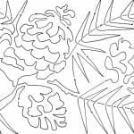 ponderosa pine spray 9 SNIPPET