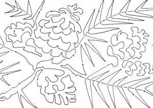 ponderosa pine spray 9 SNIPPET