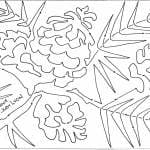 ponderosa pine spray snippet 15