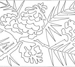 ponderosa pine spray snippet 15