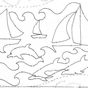 Sailing with Dolphins
