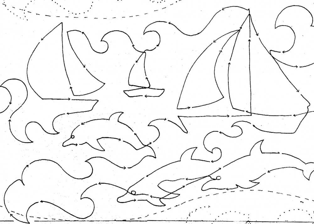 Sailing with Dolphins