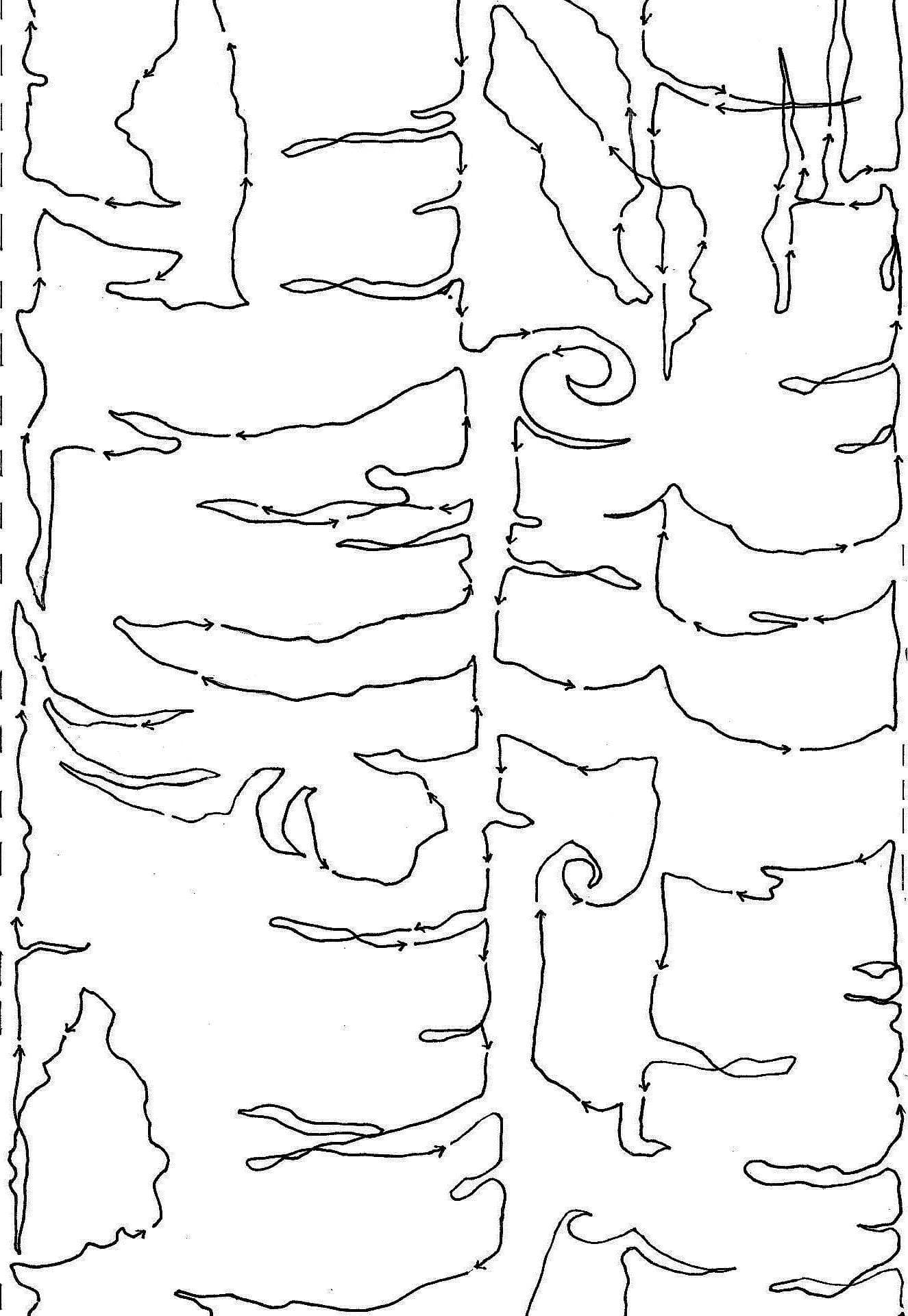 Birchbark & Canoes 10