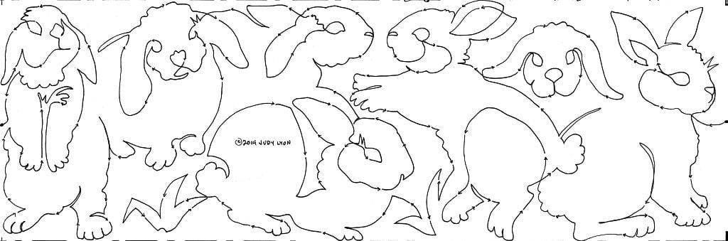 Cottontails 10