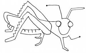  grasshopper 