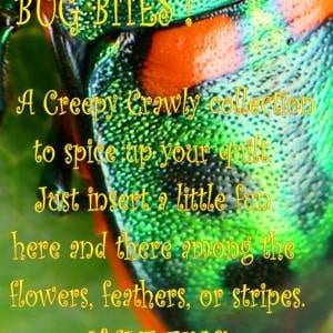 Bug Bites PDF