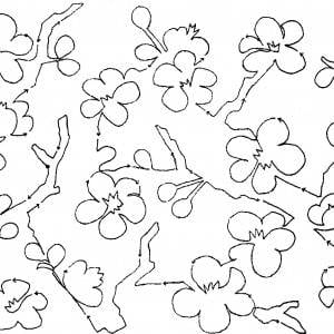 Cherry Blossoms 10