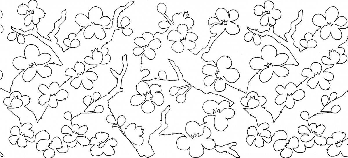 Cherry Blossoms 10