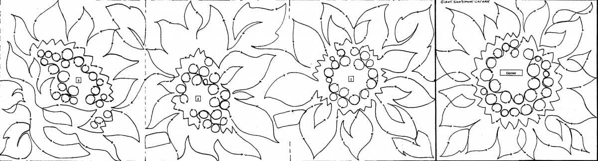 Giant Sunflower Border- 10