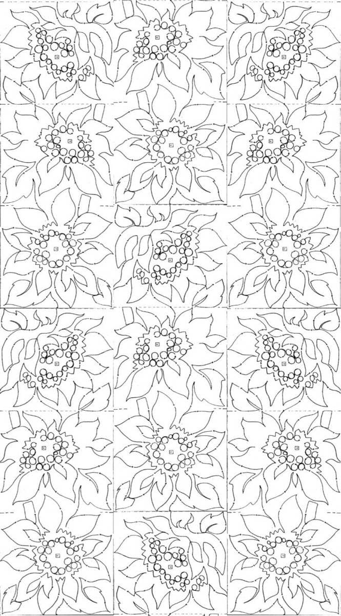 Giant Sunflower Border- 10
