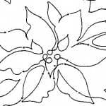 Poinsettia cropped one flower