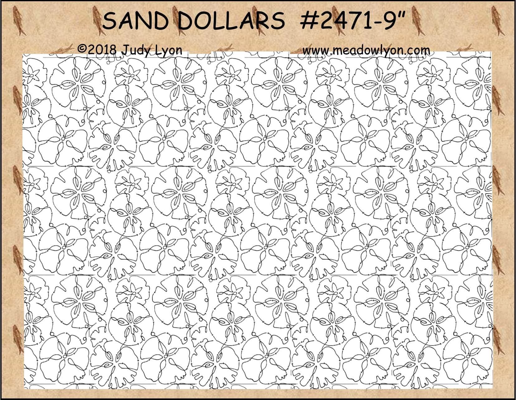 Sand Dollars 9