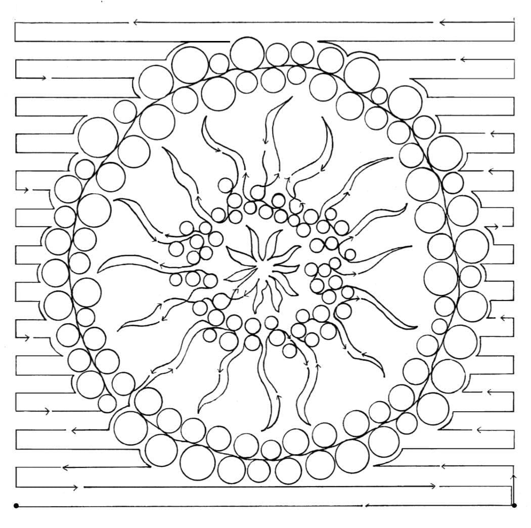 Nebula 10